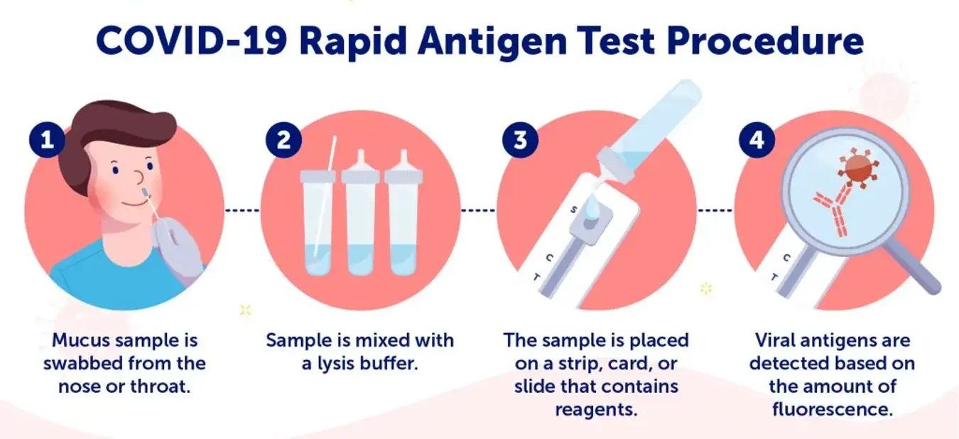 Rapid Antigen Testing